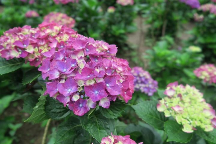 5d0b10917260347101f75311166e73c2.jpg